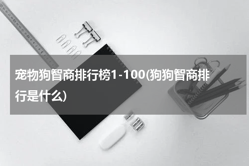 宠物狗智商排行榜1-100(狗狗智商排行是什么)