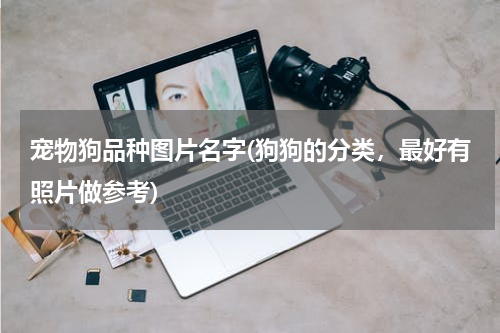 宠物狗品种图片名字(狗狗的分类,最好有照片做参考)