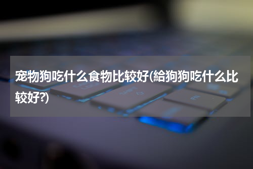 宠物狗吃什么食物比较好(給狗狗吃什么比较好?)