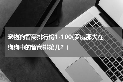 宠物狗智商排行榜1-100(罗威那犬在狗狗中的智商排第几？)
