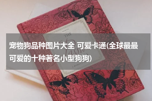宠物狗品种图片大全 可爱卡通(全球最最可爱的十种著名小型狗狗)
