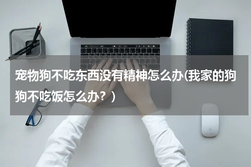 宠物狗不吃东西没有精神怎么办(我家的狗狗不吃饭怎么办?)