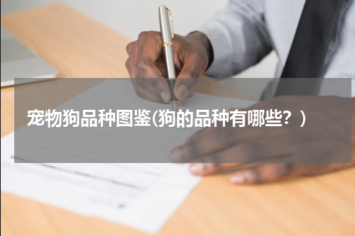 宠物狗品种图鉴(狗的品种有哪些?)