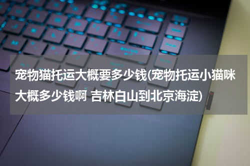 宠物猫托运大概要多少钱(宠物托运小猫咪大概多少钱啊 吉林白山到北京海淀)