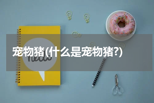 宠物猪(什么是宠物猪?)