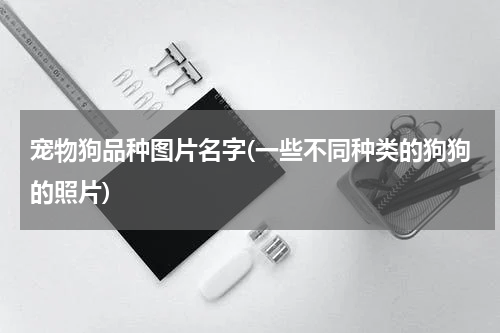 宠物狗品种图片名字(一些不同种类的狗狗的照片)