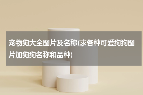 宠物狗大全图片及名称(求各种可爱狗狗图片加狗狗名称和品种)