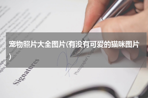 宠物照片大全图片(有没有可爱的猫咪图片)