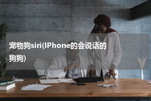 宠物狗siri(IPhone的会说话的狗狗)