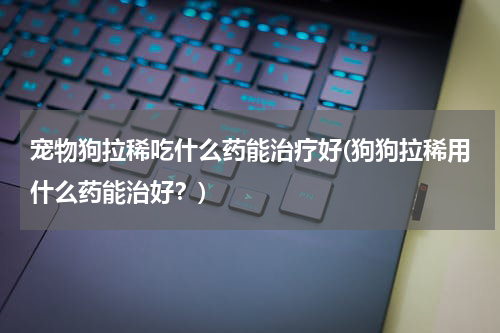 宠物狗拉稀吃什么药能治疗好(狗狗拉稀用什么药能治好？)