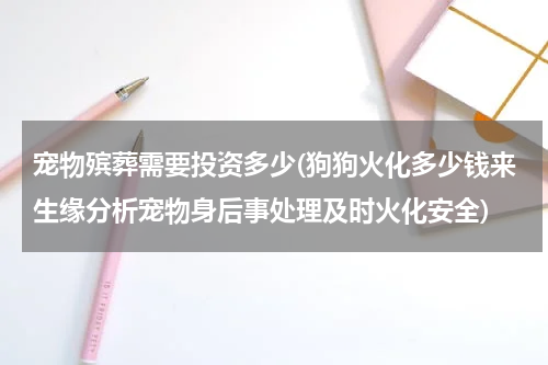 宠物殡葬需要投资多少(狗狗火化多少钱来生缘分析宠物身后事处理及时火化安全)