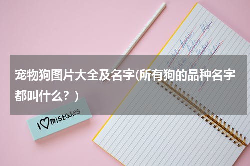 宠物狗图片大全及名字(所有狗的品种名字都叫什么?)