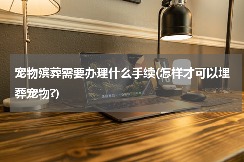 宠物殡葬需要办理什么手续(怎样才可以埋葬宠物?)