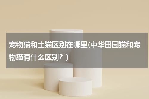 宠物猫和土猫区别在哪里(中华田园猫和宠物猫有什么区别?)