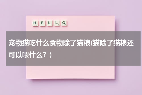 宠物猫吃什么食物除了猫粮(猫除了猫粮还可以喂什么?)