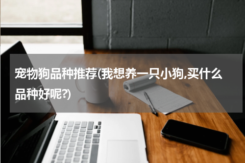 宠物狗品种推荐(我想养一只小狗,买什么品种好呢?)