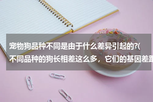 宠物狗品种不同是由于什么差异引起的?(不同品种的狗长相差这么多，它们的基因差距大吗)