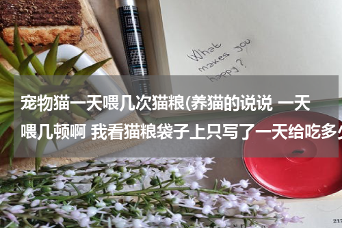 宠物猫一天喂几次猫粮(养猫的说说 一天喂几顿啊 我看猫粮袋子上只写了一天给吃多少克 没说分几顿啊 我现在是一天给一顿 行吗？)