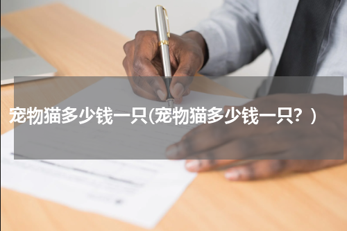 宠物猫多少钱一只(宠物猫多少钱一只？)