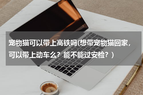 宠物猫可以带上高铁吗(想带宠物猫回家,可以带上动车么?能不能过安检?)