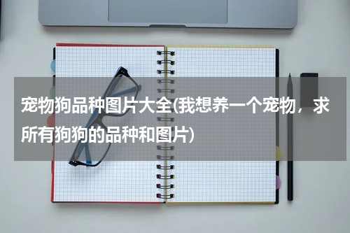 宠物狗品种图片大全(我想养一个宠物,求所有狗狗的品种和图片)