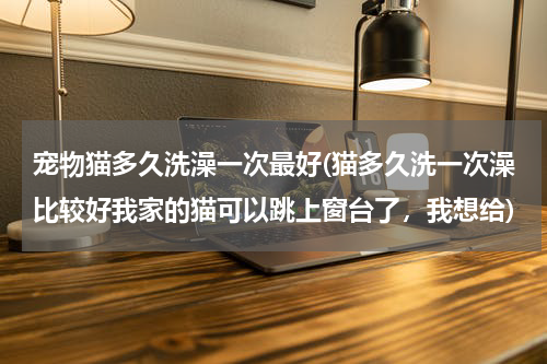 宠物猫多久洗澡一次最好(猫多久洗一次澡比较好我家的猫可以跳上窗台了,我想给)
