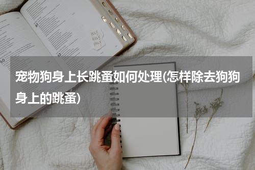 宠物狗身上长跳蚤如何处理(怎样除去狗狗身上的跳蚤)