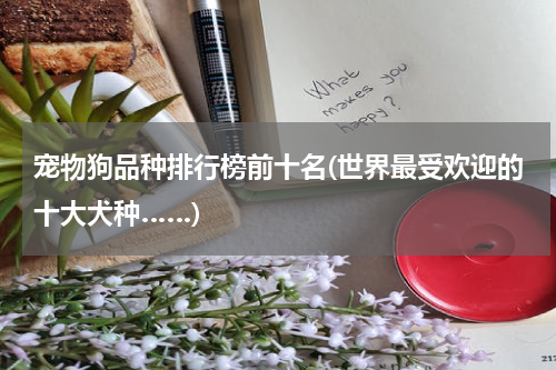 宠物狗品种排行榜前十名(世界最受欢迎的十大犬种……)