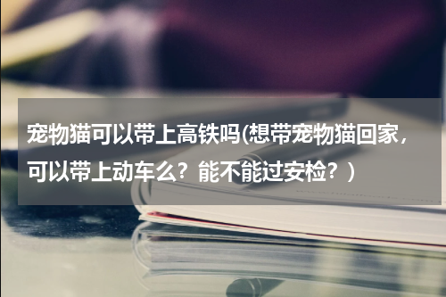 宠物猫可以带上高铁吗(想带宠物猫回家,可以带上动车么?能不能过安检?)