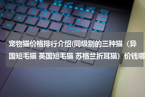 宠物猫价格排行介绍(同级别的三种猫（异国短毛猫 英国短毛猫 苏格兰折耳猫）价钱哪个贵？请排个顺序！)