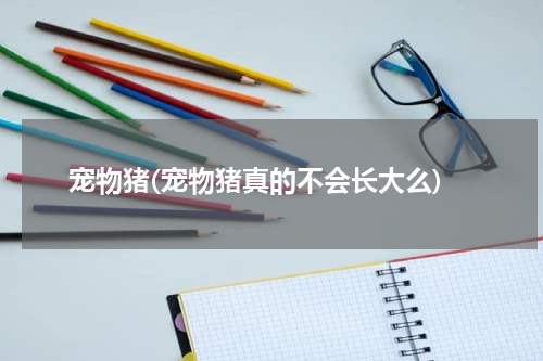 宠物猪(宠物猪真的不会长大么)