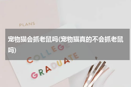 宠物猫会抓老鼠吗(宠物猫真的不会抓老鼠吗)