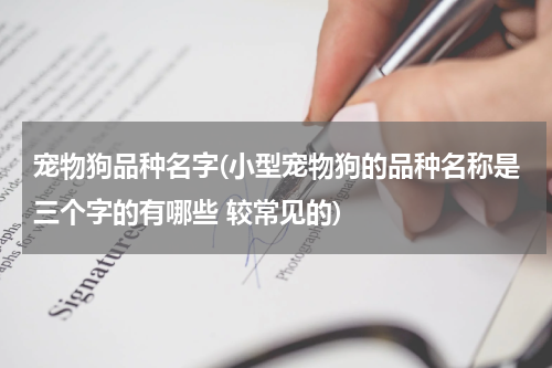 宠物狗品种名字(小型宠物狗的品种名称是三个字的有哪些 较常见的)