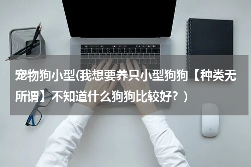 宠物狗小型(我想要养只小型狗狗【种类无所谓】不知道什么狗狗比较好?)