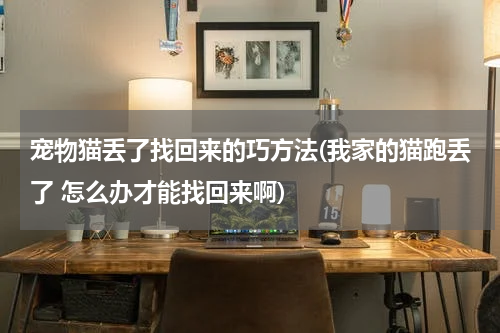 宠物猫丢了找回来的巧方法(我家的猫跑丢了 怎么办才能找回来啊)