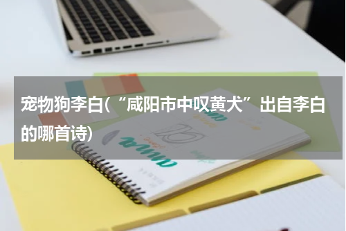 宠物狗李白(“咸阳市中叹黄犬”出自李白的哪首诗)