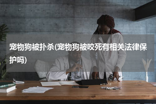 宠物狗被扑杀(宠物狗被咬死有相关法律保护吗)