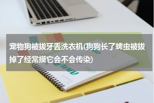 宠物狗被拔牙丢洗衣机(狗狗长了蜱虫被拔掉了经常摸它会不会传染)