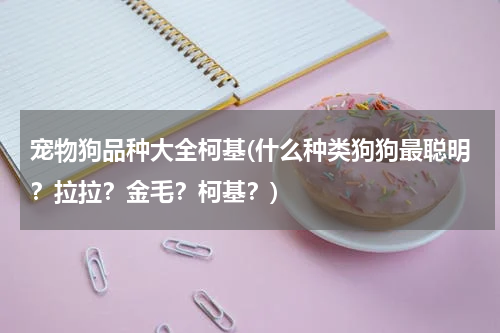 宠物狗品种大全柯基(什么种类狗狗最聪明?拉拉?金毛?柯基?)