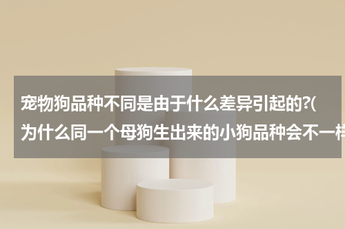 宠物狗品种不同是由于什么差异引起的?(为什么同一个母狗生出来的小狗品种会不一样呢?)