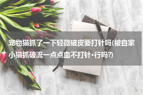 宠物猫抓了一下轻微破皮要打针吗(被自家小猫抓破流一点点血不打针·行吗?)