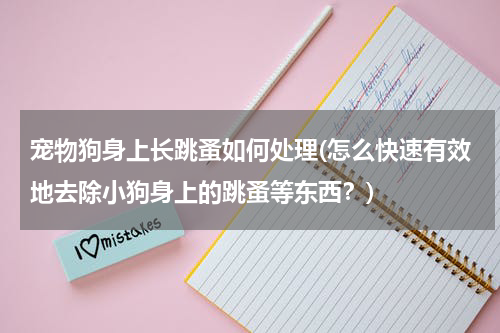 宠物狗身上长跳蚤如何处理(怎么快速有效地去除小狗身上的跳蚤等东西？)