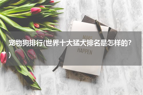 宠物狗排行(世界十大猛犬排名是怎样的?)