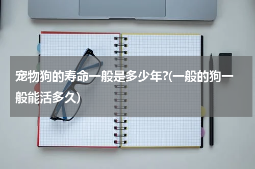 宠物狗的寿命一般是多少年?(一般的狗一般能活多久)