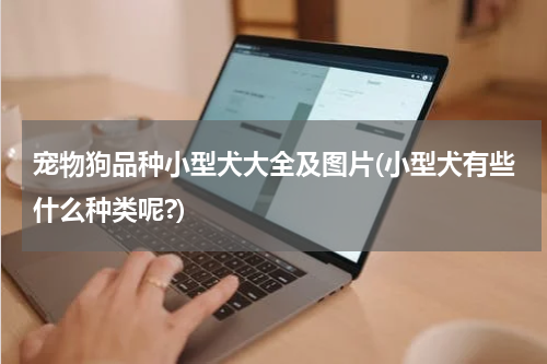 宠物狗品种小型犬大全及图片(小型犬有些什么种类呢?)