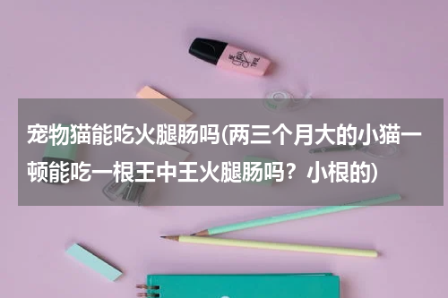 宠物猫能吃火腿肠吗(两三个月大的小猫一顿能吃一根王中王火腿肠吗?小根的)