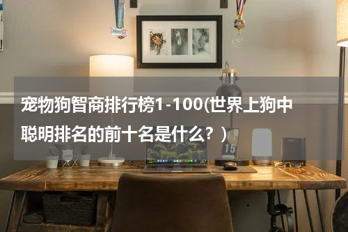 宠物狗智商排行榜1-100(世界上狗中聪明排名的前十名是什么?)