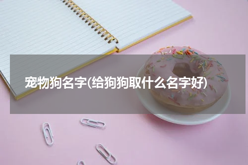 宠物狗名字(给狗狗取什么名字好)