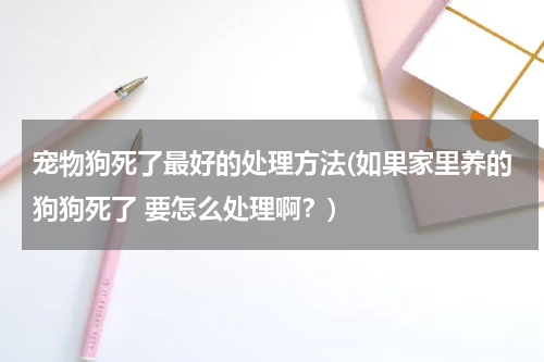 宠物狗死了最好的处理方法(如果家里养的狗狗死了 要怎么处理啊?)