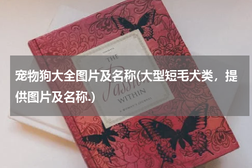 宠物狗大全图片及名称(大型短毛犬类,提供图片及名称.)